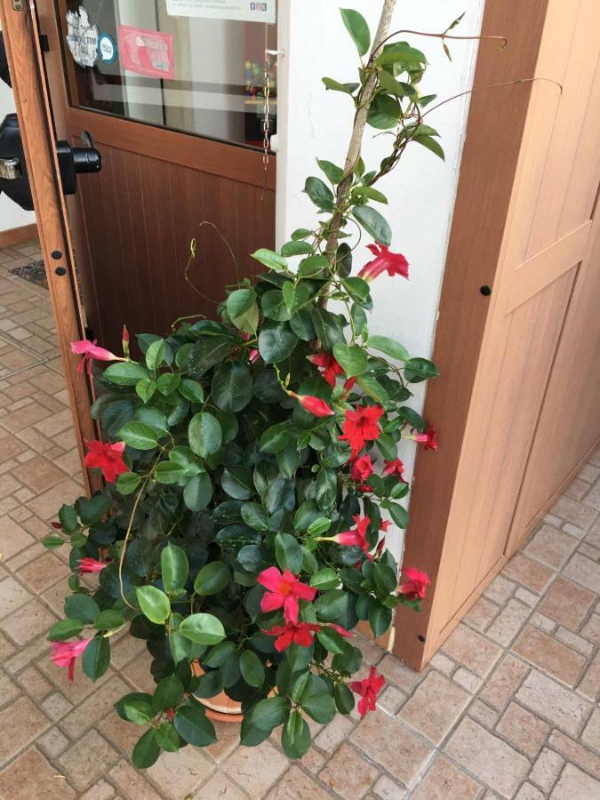 U' Fore B&B Relax Garden Νότσι Εξωτερικό φωτογραφία
